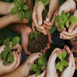 همیار طبیعت**11412**نفر