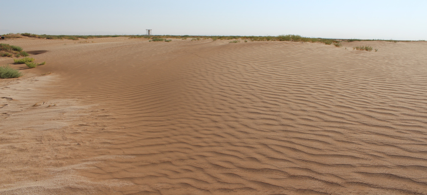 آلبوم بیابان