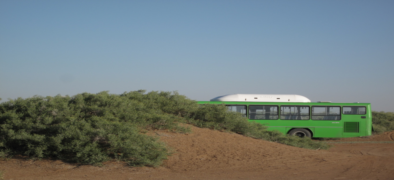 آلبوم بیابان