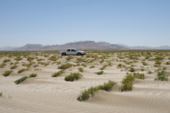 آلبوم بیابان