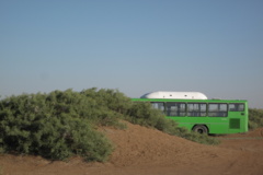 آلبوم بیابان