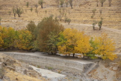 آلبوم آبخیزداری