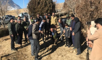 برگزاری پویش "در سایه مادر" در شازند