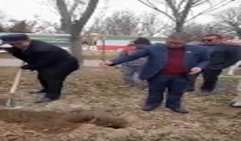 برگزاری پویش "درخت، جان ایران" در پارک کوثر فرمهین