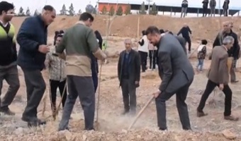 کاشت نهال در شهرستان محلات