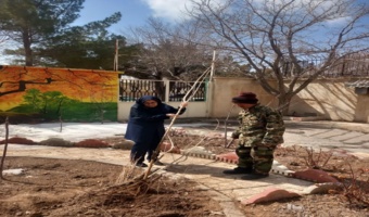 توزیع نهال رایگان در محل اداره منابع طبیعی شهرستان آشتیان