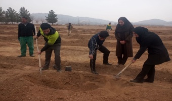 برگزاری مراسم کاشت نهال در محدوده پارک طوبی شهر نیمور