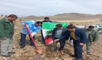 برگزاری پویش نهال کاری در تپه شهدای گمنام خنداب