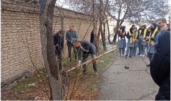 فرماندار: اجرای کریدورهای سبز در دستور کار مدیریت شهری ساوه باشد