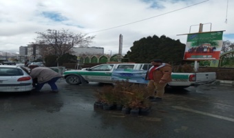 توزیع نهال در ورودی مصلی بیت المقدس اراک