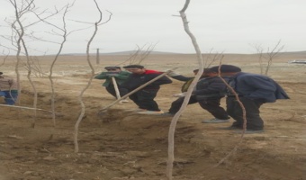 کاشت درخت در روستای قانیاروق سفلی