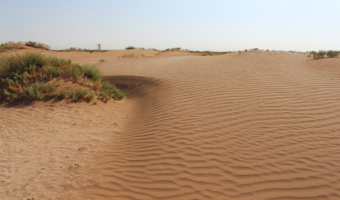 یک کانون جدید فرسایش در کویر میقان فعال شد