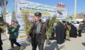نهال رایگان در راهپیمایی ۲۲ بهمن اراک توزیع شد