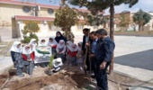 برگزاری  مراسم کاشت نهال در مدرسه ابتدایی شهیده محبوبه دانش دلیجان