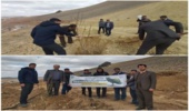 برگزاری آیین درختکاری و غرس ۴۰۰ اصله نهال در روستای گرکان