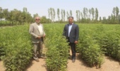 معاون وزیر جهاد کشاورزی و رئیس سازمان منابع ‌طبیعی و آبخیزداری کشوراز نهالستان استان مرکزی بازدید کرد