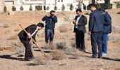 آغازکاشت نهال طرح مردمی کاشت یک میلیارد درخت همزمان با سراسر کشور در شهرستان محلات