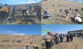 کاشت نهال توسط مقام معظم رهبری نقش موثری در ارتقای فرهنگ و معارف عمومی منابع طبیعی دارد