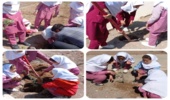 برگزاری پویش کاشت نهال در دبستان دخترانه آیت اله اشعری آسیابک شهرستان زرندیه