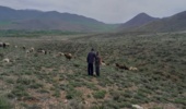 گشت و مراقبت از اراضی ملی و کنترل ورود و خروج دام در مراتع شهرستان خمین
