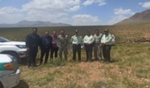  اخراج دام غیر مجاز از مراتع روستای قشلاق شهرستان شازند
