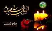 پیام تسلیت سرپرست سازمان منابع طبیعی در پی درگذشت دکتر رافت نیا