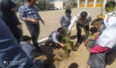 نهال مهر؛ پویش درختکاری و درخت یاری در شهرستان ساوه 