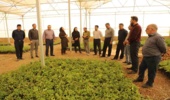 بازدید مدیر کل دفتر بیابان سازمان منابع طبیعی و آبخیزداری کشور از گلخانه و پروژه نهال کاری محلات