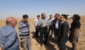 بازدید مدیر کل دفتر بیابان سازمان منابع طبیعی و آبخیزداری کشور از پروژه نهال کاری بیابانی زرندیه 
