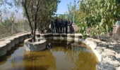 بازدید رئیس منابع طبیعی تفرش از مزرعه گردشگری بام شهرستان