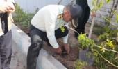 برگزاری پویش نهال کاری سبز قامتان در فرماندهی انتظامی شهرستان فراهان