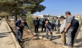 کاشت نهال توسط جامعه ورزشی محلات