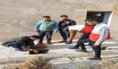 برگزاری پویش نهال کاری در خنداب