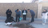 غرس نهال در مرکز بهداشت آشتیان