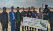 برگزاری پویش نهال کاری به مناسبت هفته بسیج در کمیجان 