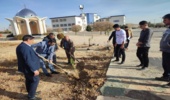 برگزاری پویش نهالکاری در دانشگاه آزاد خمین