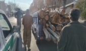 کشف و توقیف یک محموله غیر مجاز چوب در کمیجان