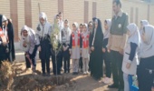 برگزاری پویش کاشت نهال در دلیجان