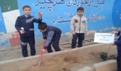 برگزاری پویش نهال کاری در شهرستان اراک