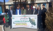 برگزاری پویش نهالکاری در یکی از مدارس دلیجان