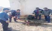 برگزاری پویش نهال کاری در پایگاه بسیج شهید مدنی خنداب