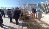 برگزاری پویش کاشت نهال در خمین