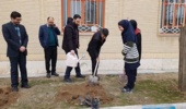 برگزاری پویش نهالکاری فجر سبز در یکی از مدارس فراهان