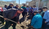 برگزاری پویش نهال‌کاری سبز در مدرسه روستای حک سفلی شازند