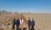 بازدید از روند توزیع نهال در نهالستان فدک و شهید رجایی