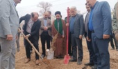 پنج هزار اصله نهال در خمین کاشته شد