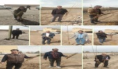 توزیع نهال رایگان در اداره منابع طبیعی و آبخیزداری شهرستان زرندیه