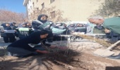 برگزاری جشن درختکاری در مدرسه راهنمایی سما ساوه