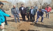 برگزاری پویش نهالکاری در روستای جلایر شازند 