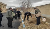 برگزاری پویش درختکاری در دادگستری فراهان